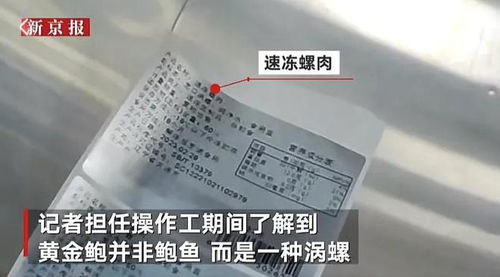 315曝光 大連某海產(chǎn)品加工廠,這樣的海參鮑魚誰敢吃